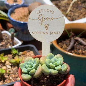 Let Love Grow Succulent Plant Tags/Rustic Wedding Succulent Wooden Favors/Wooden Plant Sticks for Wedding Favors/Custom Succulent Tags