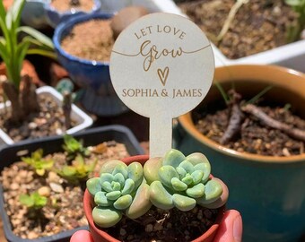 Let Love Grow Succulent Plant Tags/Rustic Wedding Succulent Wooden Favors/Wooden Plant Sticks for Wedding Favors/Custom Succulent Tags