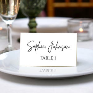 Printed Place Cards/Custom Fonts Wedding Place Cards/Wedding Guest Name Cards/Classy Dinner Name Tag/Minimalist Wedding Elegant Calligraphy