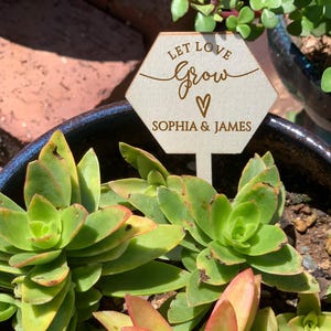 Custom Plant Tags/Plant Tags/Baby Shower Gifts/Engagement Gifts/Custom Plant Labels Laser Cut/Party Favors/Let Love Grow Wooden Plant Sticks