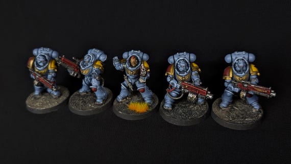 Warhammer 40k Painted Space Wolves Heavy Intercessors - Etsy Canada