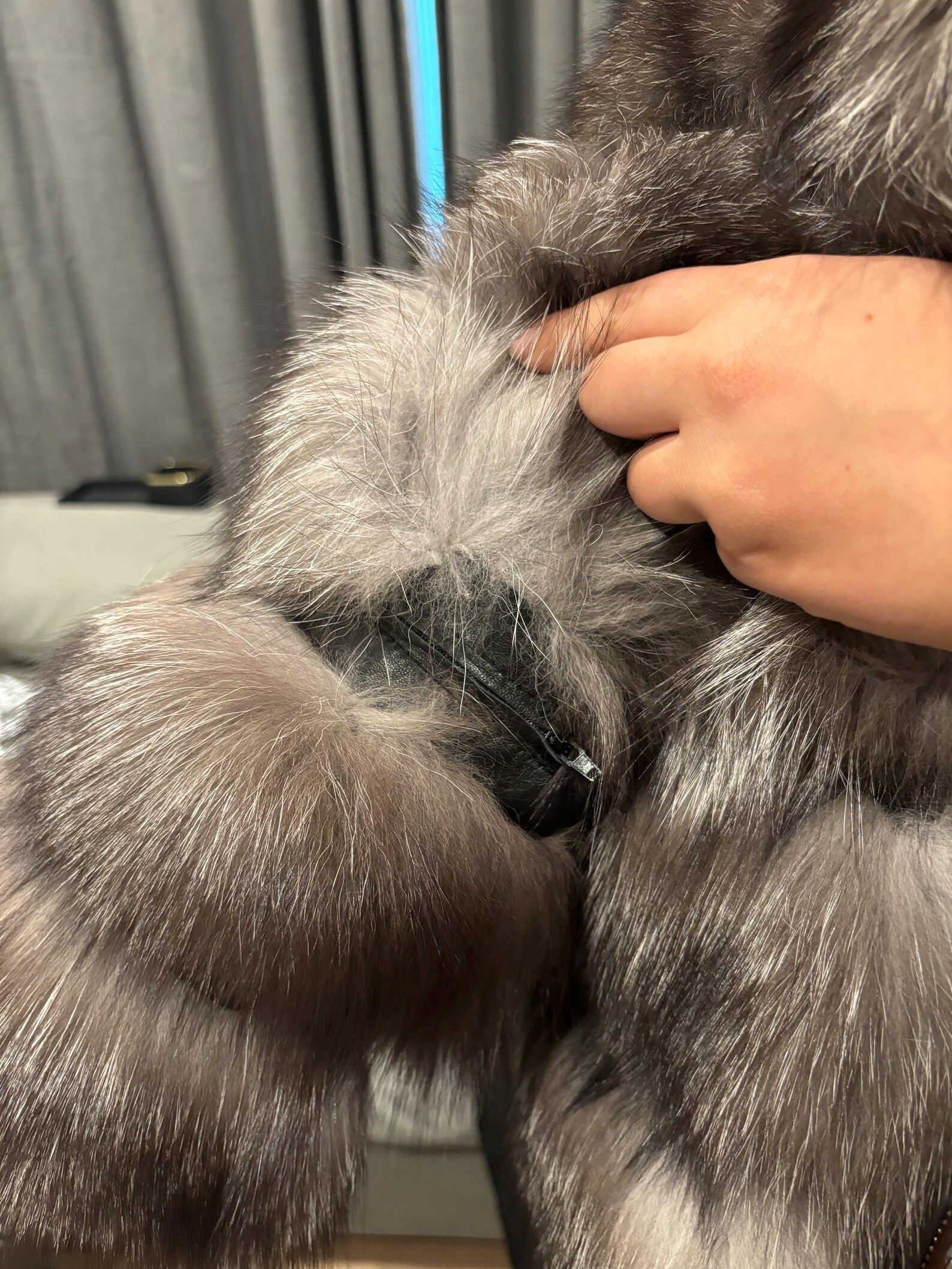 Fur Coat Black Fox