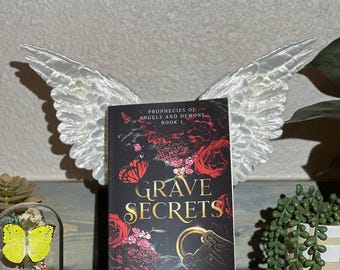 Angel/Demon Wings Book Display