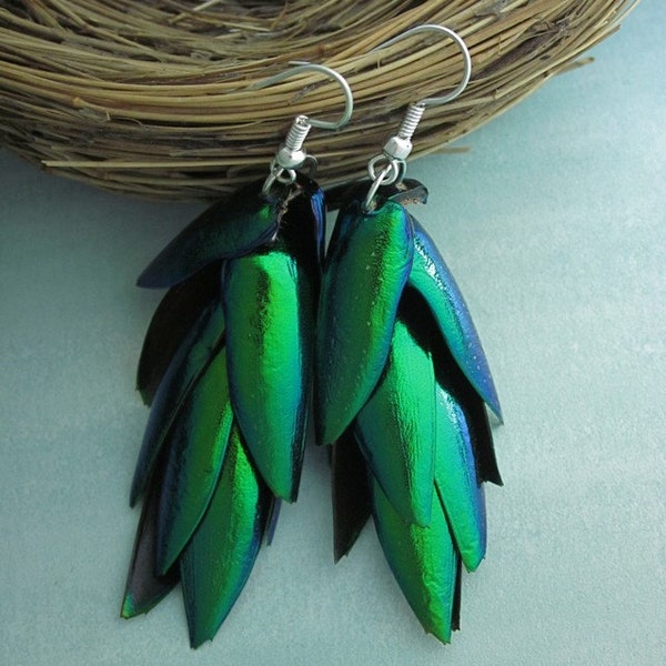 SALE! With FREE US Shipping! Real Beetle Wing Earrings - funky, sexy, stunning and fun - lightweight shimmery buggy fabulous long love gift