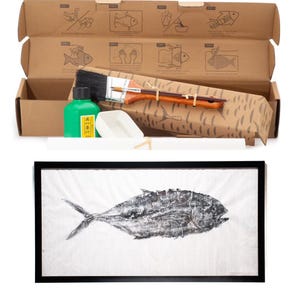 Iko Prints - Kit fai da te per la stampa di pesci giapponesi Gyotaku / Regali di pesca per uomo - Alternativa alla tassidermia - Decorazioni per la casa vintage dedicate alla pesca /