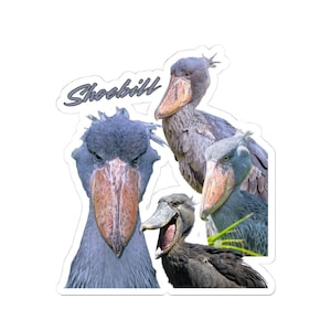 Shoebill Vintage Graphic Vinyl Sticker