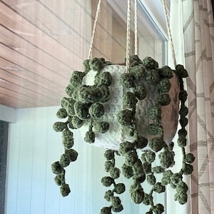 May include: A hanging crochet plant pot with a white body and green, beaded, vine-like strands. The pot is suspended by three white cords, and is positioned in front of a window. The crochet work has a textured appearance.
