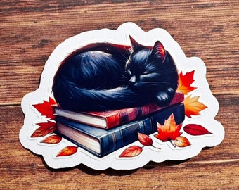 May include: A black cat sleeping on a stack of three books with autumn leaves around them.