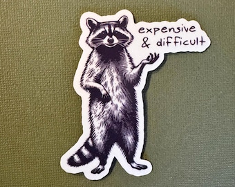 Funny Raccoon Sticker: Expensive & Difficult, Waterproof