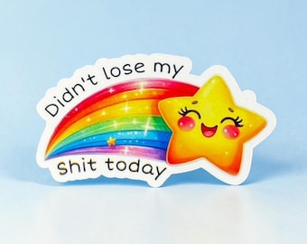 Funny Star Sticker: Didn't Lose My Sh*t Today, Waterproof Vinyl