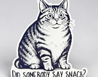 Funny Cat Sticker: Did Somebody Say Snack