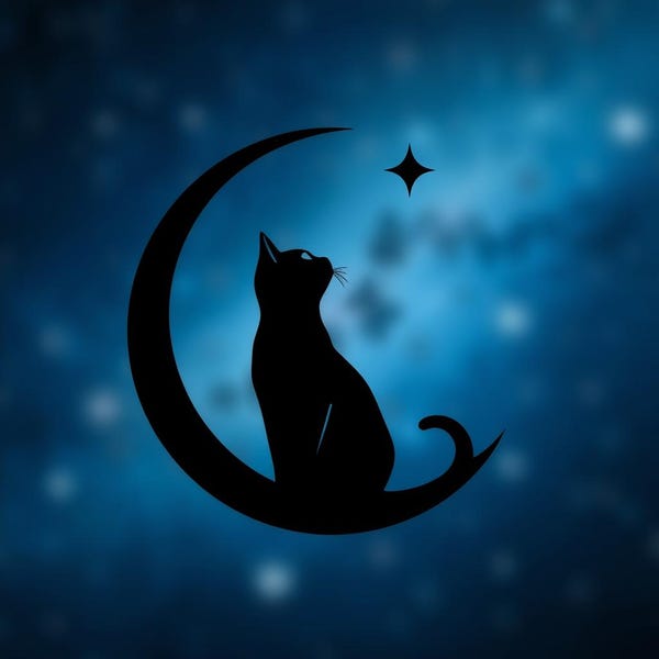 Cat Moon Star Vinyl Decal: Car, Laptop, Water Bottle Decals