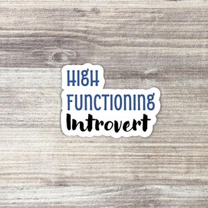 May include: White sticker with the text "HIGH FUNCTIONING INTROVERT" in black lettering. The word "HIGH" is in blue.