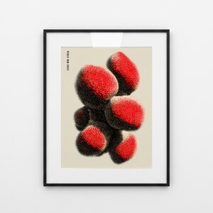 Könnte beinhalten: Ein gerahmter Kunstdruck mit einer Ansammlung organischer, abgerundeter Formen mit einer leuchtend roten, gepunkteten Textur auf hellbeigem Hintergrund. Der Text 2085 INN 2802 ist vertikal in Schwarz auf der linken Seite abgedruckt.