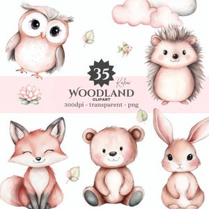 Woodland Animal Watercolor Clipart – Forest Animals for Nursery Decor, Kids Room Art, Baby Shower, Bear, Fox, Bunny, Hedgehog PNG
