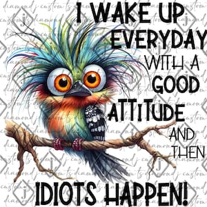 Eu acordo todos os dias com uma boa atitude, idiotas acontecem, ditado engraçado, citação atrevida, ditado sarcástico, pássaro fofo, amante de pássaros, pássaro tagarela