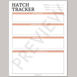 Chicken Worksheets / Egg Tracker / Egg Sales / Hatch Tracker //PDF Printable image 2