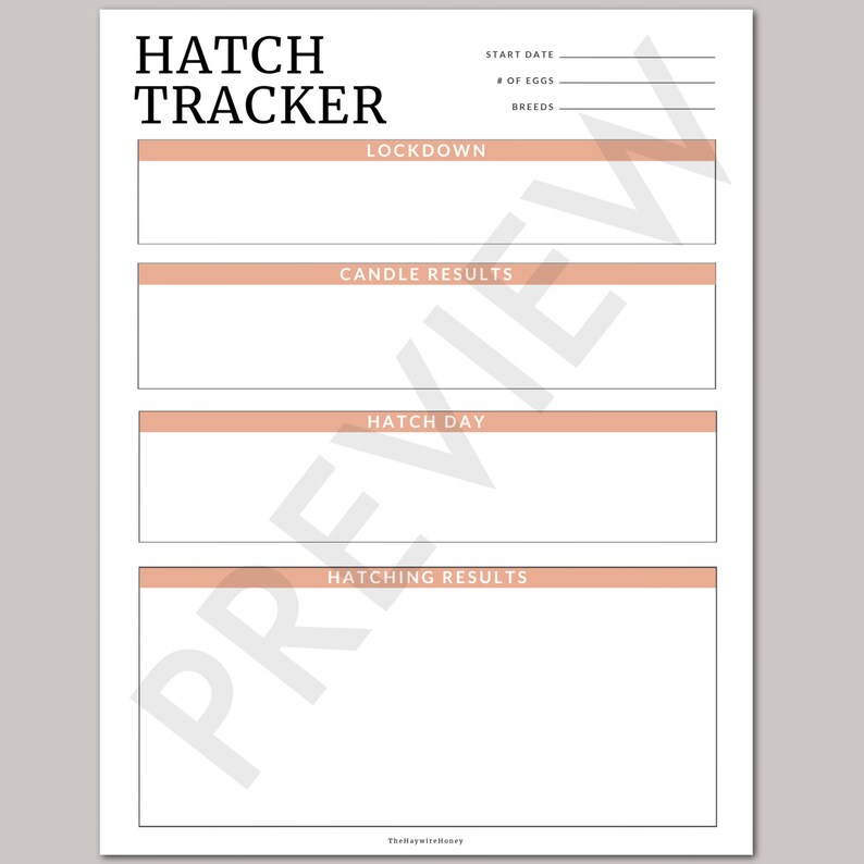 Chicken Worksheets / Egg Tracker / Egg Sales / Hatch Tracker //PDF Printable image 2