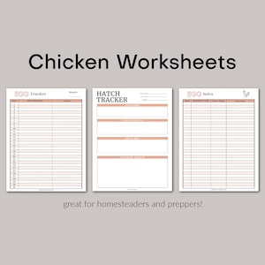 Chicken Worksheets / Egg Tracker / Egg Sales / Hatch Tracker //PDF Printable image 1