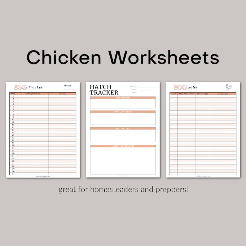 Chicken Worksheets / Egg Tracker / Egg Sales / Hatch Tracker //PDF Printable image 1