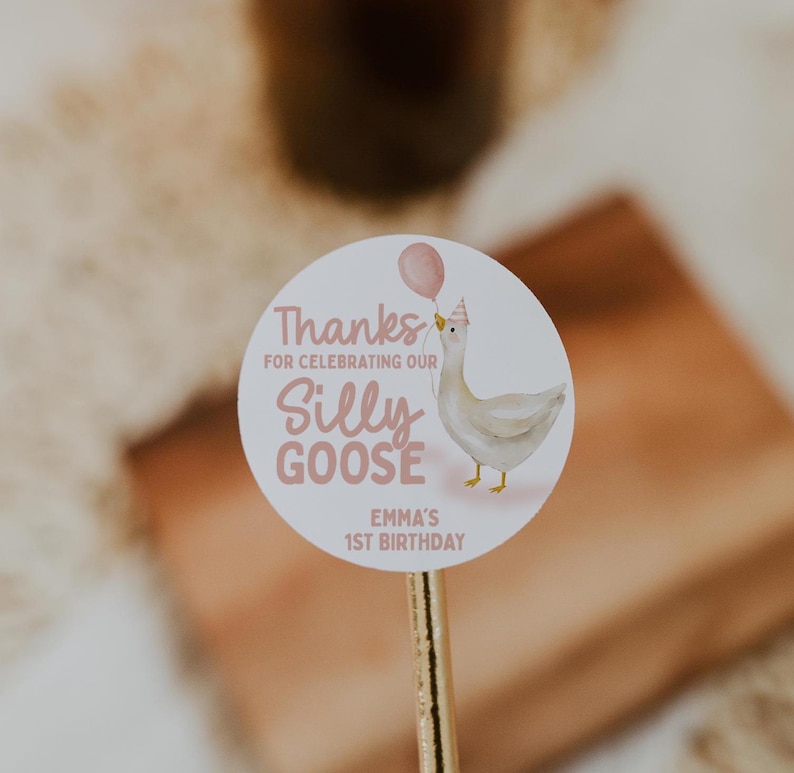 May include: Round pink and white sticker with a white goose wearing a pink party hat and holding a pink balloon. The sticker says "Thanks for celebrating our Silly Goose Emma's 1st Birthday."