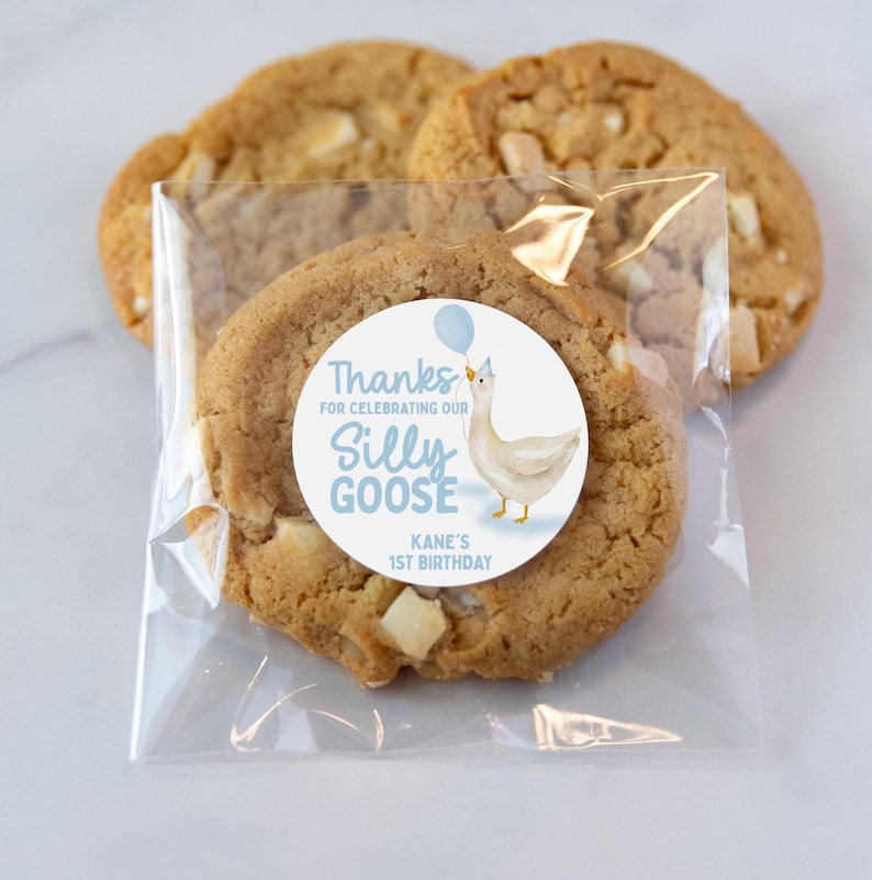 May include: A clear plastic bag filled with cookies and a round sticker that says "Thanks for celebrating our Silly Goose Kane's 1st Birthday". The sticker has a cartoon goose wearing a party hat and holding a blue balloon.