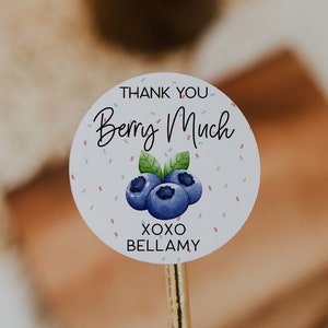 Blueberry Baby Shower Favor Labels, Blueberry Baby Shower, Blueberry Theme Stickers, Blueberry Cookie Labels, Fruit Baby Shower Favors