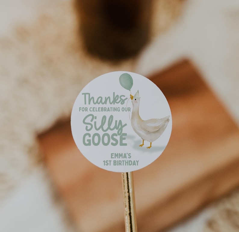 May include: Round sticker with a white goose holding a green balloon. The sticker says "Thanks for celebrating our Silly Goose Emma's 1st Birthday".
