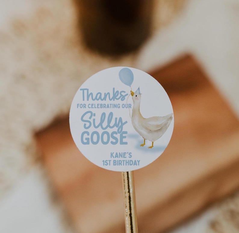 May include: A round white sticker with a blue and white goose holding a blue balloon. The sticker says "Thanks for celebrating our Silly Goose Kane's 1st Birthday".