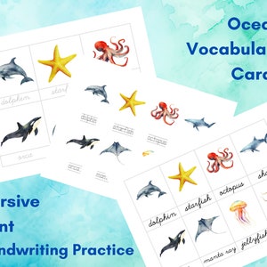 24 cartes Montessori océan animal plante vocabulaire vocal école à la maison école maternelle ESL écriture manuscrite