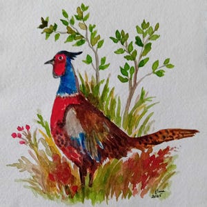 Hand painted  original  A5  size  pheasant watercolour  ,original art, gift