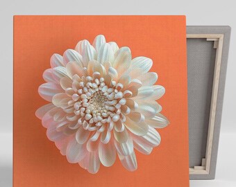 Dahlia Wall Art, Canvas or Poster, Contemporary Minimalist Decor, Living Room Bedroom Office Dining Room Floral Art Print, Dahlia decor