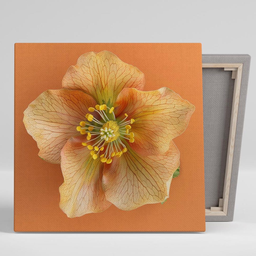 Hellebore Art, Canvas or Poster, Floral Contemporary Decor, Living Room ... - Leaf Hellebore Home Decor Inspiration