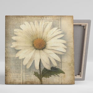 Daisy Wall Art, Canvas or Poster, Vintage Floral Decor, Shabby Chic Farmhouse Rustic Style, Living Room Bedroom Dining Entryway, Daisy Decor