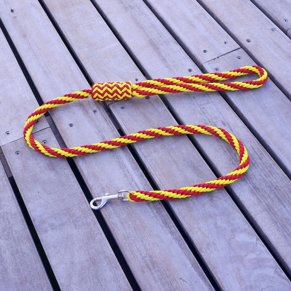 Kumihimo Dog Leash Etsy