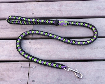 May include: A black, green, and purple braided dog leash with a silver clip.