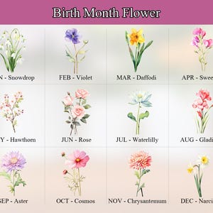 May include: An image titled "Birth Month Flower" displays watercolor illustrations of flowers, each representing a month. The flowers include Snowdrop, Violet, Daffodil, Sweetpea, Hawthorn, Rose, Waterlily, Gladiolus, Aster, Cosmos, Chrysanthemum, and Narcissus.