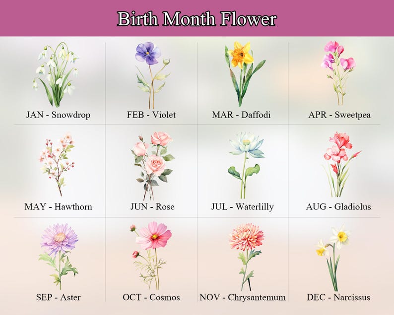 May include: An image titled "Birth Month Flower" displays watercolor illustrations of flowers, each representing a month. The flowers include Snowdrop, Violet, Daffodil, Sweetpea, Hawthorn, Rose, Waterlily, Gladiolus, Aster, Cosmos, Chrysanthemum, and Narcissus.