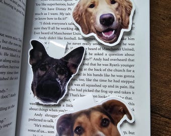 Op de afbeelding: Een boek met de titel "The Spread" op de kaft. Er zijn drie stickers met hondenkoppen op de pagina. Eén is een golden retriever, één is een zwart-bruine hond en één is een bruin-witte hond.
