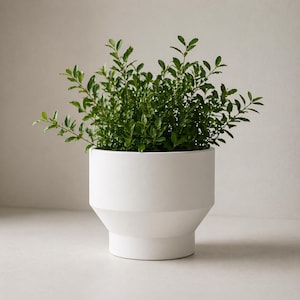 Puede incluir: Una maceta de cerámica blanca con un diseño geométrico, llena de exuberantes plantas verdes. La maceta tiene una base escalonada y una parte superior cilíndrica, creando una estética moderna. Las hojas de la planta son de un verde intenso.