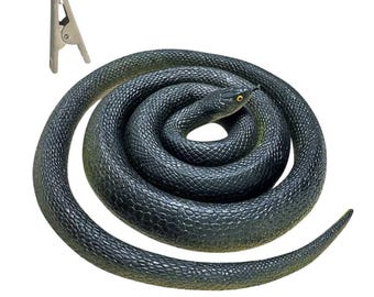 The Scare Snake