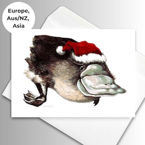 Santa Platypus Christmas Cards | Set of 10 | Unique Hand-Drawn Animal Artwork | Whimsical Holiday Cards