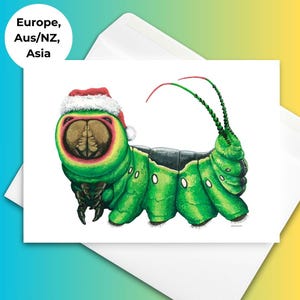 Santa Caterpillar Holiday Cards | Set of 10 | Whimsical Hand-drawn Illustration | Cute Animal Greeting Cards | Christmas Greeting Cards