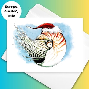 Santa Nautilus Christmas Cards | Set of 10 | Hand-Drawn Holiday Greeting Cards With Ocean Animal | Cephalopod Artwork | Ocean Art