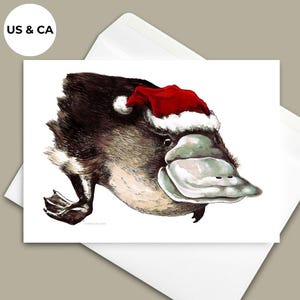 Santa Platypus Christmas Cards | Set of 10 | Unique Hand-Drawn Animal Illustration | Whimsical Christmas Art | Kids Christmas Cards