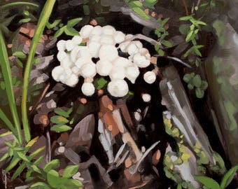 Wild Mushroom Woodland Forest Painting, Original Oil Painting of White Mushrooms, Painting for Nature Lover, Mushroom Hunter - "Puffballs"