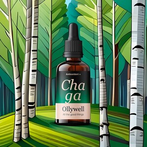 Può includere: Una bottiglia di vetro marrone con un tappo contagocce nero e un'etichetta bianca. L'etichetta dice "Antioxidant+ Chaga Ollywell All the good things". La bottiglia è appoggiata su una superficie erbosa verde con betulle sullo sfondo.