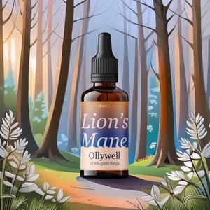 Estratto di fungo criniera di leone in gocce da 30 ml - Stimolatore naturale del cervello e potenziatore della concentrazione / Adattogeno organico di Ollywell / Prodotto in Polonia