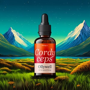 Può includere: Una bottiglia di vetro marrone con un contagocce. L'etichetta è arancione e dice "Energy + Cordyceps Ollywell All the good things".