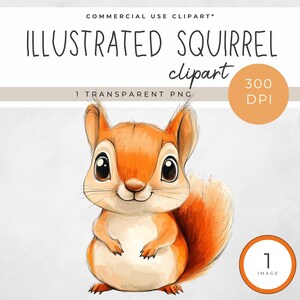 CLIPART Illustrated Squirrel Cartoon squirrel character illustration